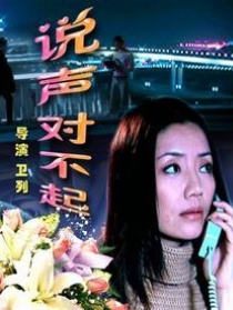 说声对不起