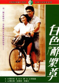 白色酢漿草
