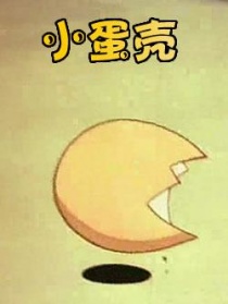 小蛋壳