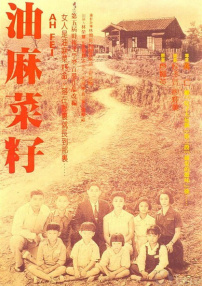 油麻菜籽
