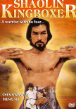 铁拳