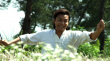 八文钱的保镖