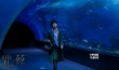 惊悚片《咒丝》耗资1700万 水族馆剧照首曝光