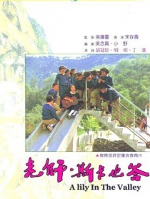 老师，斯卡也答