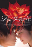 莎妮達(dá)爾之花