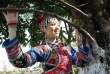 茶花彝女