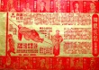 神雕俠侶