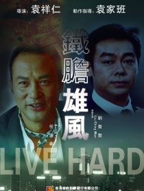 铁胆雄风