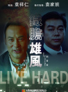 铁胆雄风