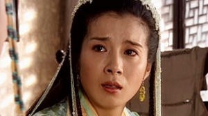 杨门女将四郎探母
