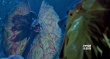 经典老电影“起死回生” 3D技术成“灵丹妙药”