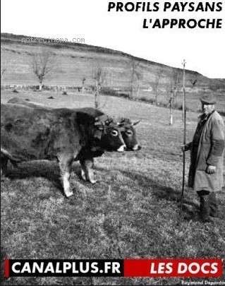 农民剪影：近距离