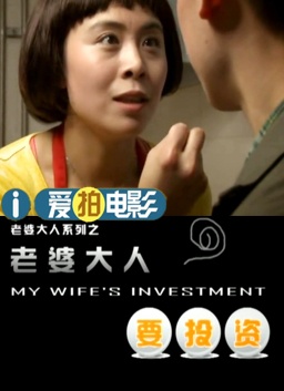 老婆大人要投资