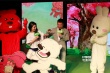 手繪動畫《我是狼》定檔 曲婉婷獻(xiàn)唱導(dǎo)演落淚