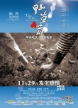 《野草莓》曝三色浪漫海报 11月29日禁恋来袭