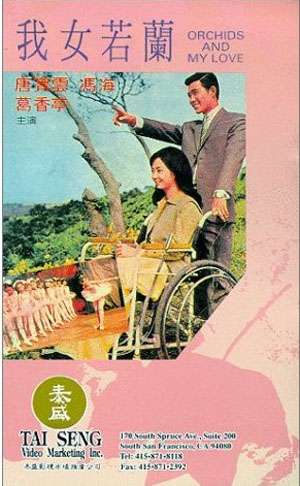 我女若兰