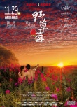 一周海报回顾：《野草莓》赤裸 《华丽的外出》煽情