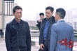 明星集体力挺《扫毒》 陈木胜操刀新MV答谢观众