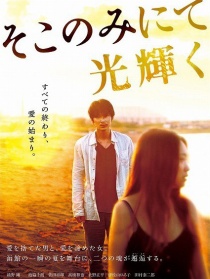 只在那里發(fā)光
