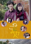 給貓橘子