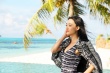 王丽坤海岛浪漫风格写真 椰林树影衬美丽动人