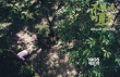 《不能說的夏天》首發(fā)海報(bào) 靜謐校園內(nèi)暗藏殺機(jī)