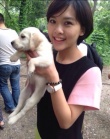 神犬奇兵