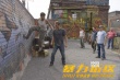 《暴力街区》票房将破1.5亿 花絮致敬保罗·沃克