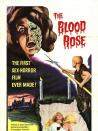血玫瑰