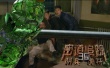 密道追踪之阴兵虎符