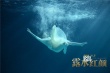 《露水红颜》曝导演特辑 高希希指导刘亦菲、Rain