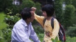 花楸故事