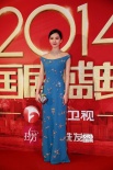 2014國劇盛典紅毯大咖云集 爭奇斗艷星光璀璨