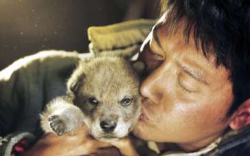 《狼图腾》动态海报 冯绍峰与小狼崽温馨“拥吻”