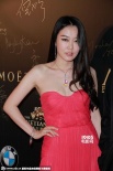 众女星秀性感透视装抢镜 倪婷低胸红裙光鲜吸睛