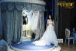 《咱們結(jié)婚吧》預(yù)告 姜武跪地求婚圓圓喜極而泣