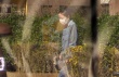 娱评：天后王菲的婚姻逻辑 爱一个男人生一个娃