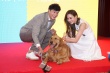 《我的男友和狗》主打萌犬 何润东自曝险绝后