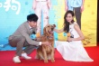 《我的男友和狗》主打萌犬 何润东自曝险绝后