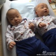范玮琪晒爱子照“光头飞飞”来袭 被调侃像郑恺