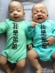范瑋琪雙胞胎兒子變表情帝 穿兄弟裝萌翻網(wǎng)友