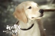 《我的男友和狗》曝主题曲MV 何润东张钧甯主演