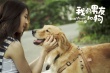 《我的男友和狗》曝主题曲MV 何润东张钧甯主演