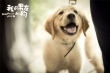 《我的男友和狗》曝里拉特辑 宠物电影治愈人心