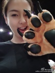 Angelababy深夜曬自拍 粉絲齊呼被美得睡不著