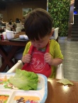霍思燕儿子吃生菜表情狰狞 杜江:嫉恶如仇的赶脚