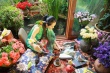 杨丽萍与鹦鹉亲近玩耍 女神置身后花园仙气十足