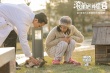 《滾蛋吧！腫瘤君》新照 白百何吳彥祖和小狗玩耍