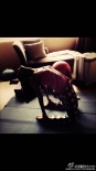 45歲李嘉欣家中練瑜伽 下腰劈腿身體超級柔韌