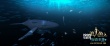 動(dòng)畫(huà)《美人魚(yú)》將映 魔法海底世界開(kāi)啟童年回憶